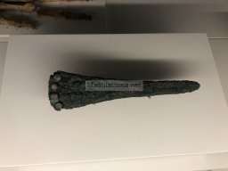 Tumba de la Almoloya 2022